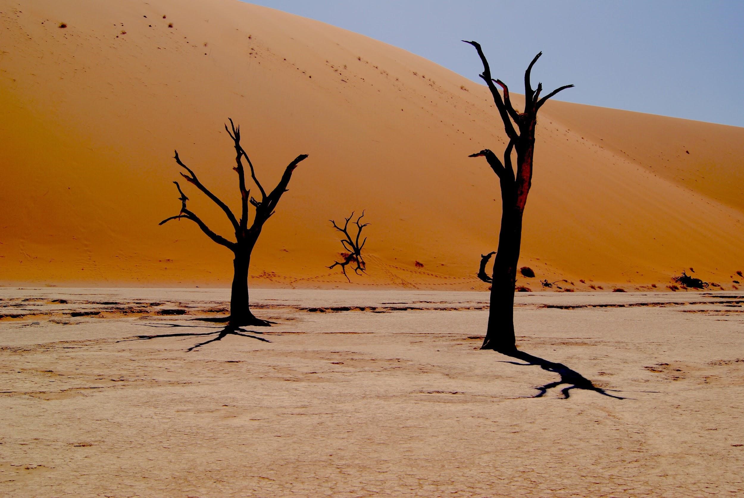 Sossusvlei, Namibia