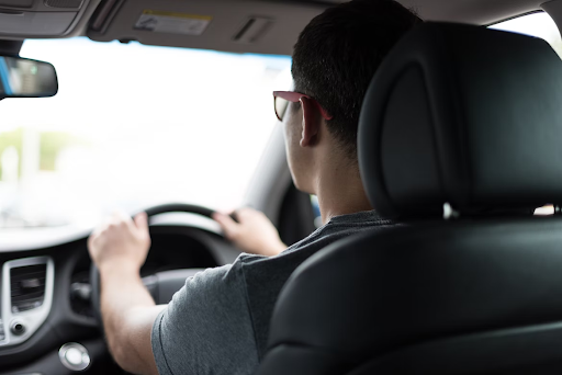 The Importance of Learning to Drive From a Professional,