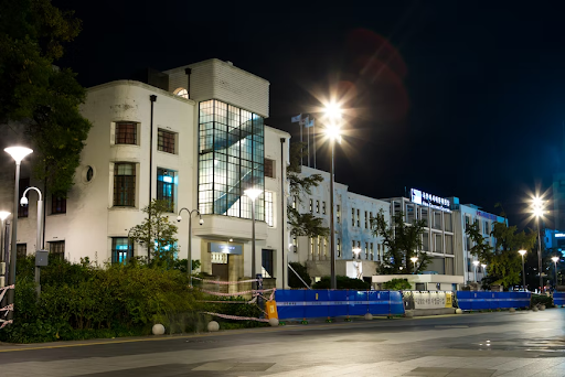 Outdoor Lighting for Your Company's Premises: How to Choose the Right Solution,